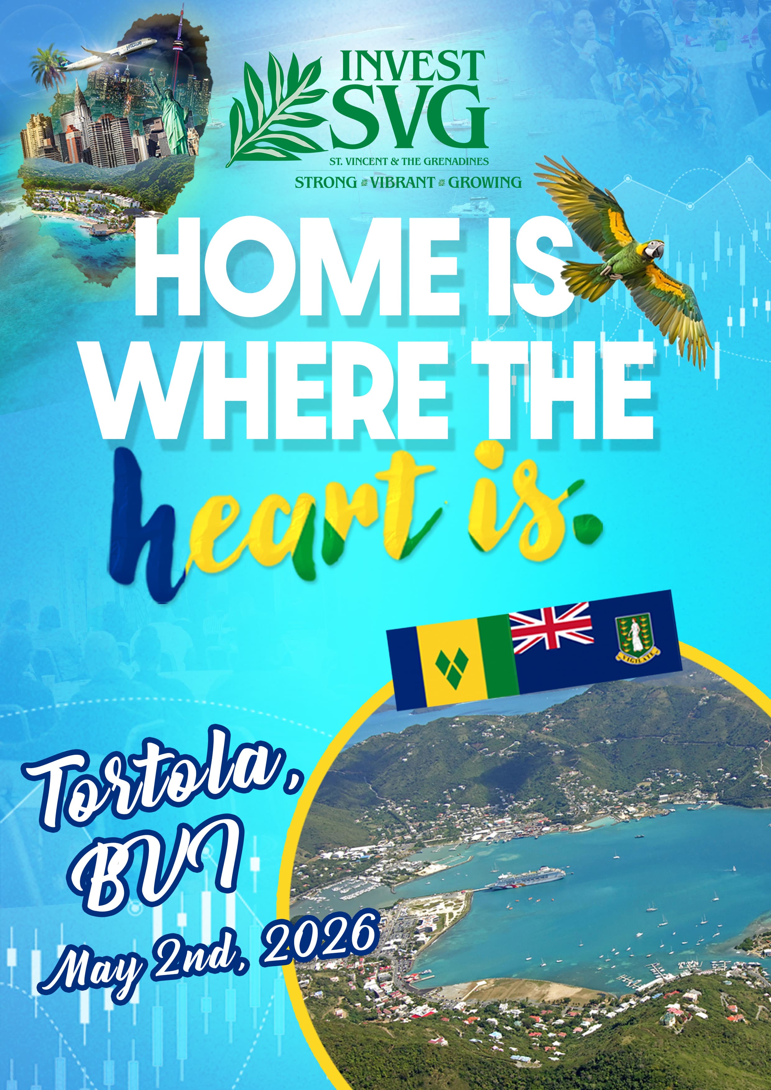 Home Is Where The Heart Is BVI - Diaspora Outreach & Investment Programme